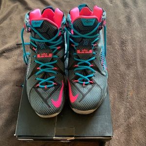 Nike Lebron 12 Chromosomes Men’s size 11.5